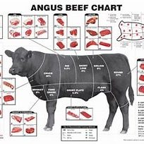 cutting chart